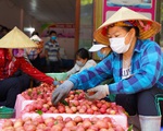 Trái vải Việt Nam xây dựng thương hiệu trên bản đồ nông sản thế giới