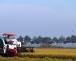 Hệ thống lương thực thực phẩm Việt Nam đối mặt nhiều thách thức