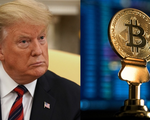 Bitcoin lao dốc sau khi bị ông Trump gọi là “trò lừa đảo”