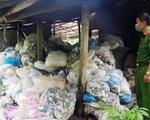 Ngăn chặn 13,5 tấn rác găng tay y tế đã qua sử dụng chuẩn bị tái chế
