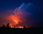 Cháy rừng bùng phát mạnh ở các bang miền Tây nước Mỹ, hàng nghìn ngôi nhà bị ảnh hưởng