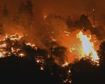 Cháy rừng dữ dội trong đợt nắng nóng kỷ lục, Canada ban bố lệnh sơ tán khẩn cấp