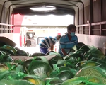 Tiền Giang mở “luồng xanh” chuyển hàng hóa nông sản về TP Hồ Chí Minh