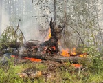 Siberia đối mặt với cháy rừng sau tháng 6 khô nóng  nhất trong 133 năm qua