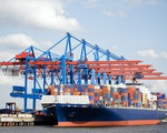Giá cước vận tải biển tăng kỷ lục