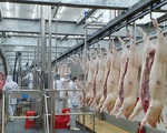 TP Hồ Chí Minh lên nhiều kịch bản cung ứng thịt lợn