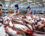 Xuất khẩu sản phẩm cá tra đạt hơn 930 triệu USD