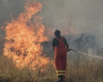 Italy bắt giữ 2 đối tượng đốt phá gây cháy rừng nghiêm trọng