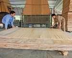 Ngăn chặn hàng xuất khẩu đội lốt “Made in Việt Nam”