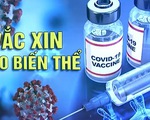 Cuộc tìm kiếm vaccine ứng phó các biến thể mới của virus SARS-CoV-2