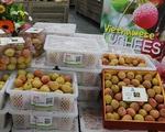 Nông sản Việt xuất khẩu sang Australia tăng trưởng mạnh