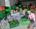 Hợp tác xã - “Cầu nối” tiêu thụ nông sản mùa dịch