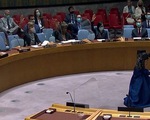 Thông qua Nghị quyết Hội đồng Bảo an về hoạt động sơ tán
