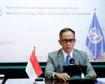 Hội nghị ASEAN+3: Indonesia đề xuất thiết lập cơ chế y tế khu vực