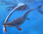 Khủng long Mosasaur - 'quái vật biển' dài hơn 5m thống trị đại dương cổ đại