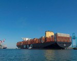 Ngành vận tải biển lãi “đậm” nhất trong 13 năm