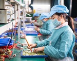 TP Hồ Chí Minh sẽ xây dựng bộ tiêu chí để khôi phục sản xuất