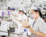 Việt Nam xuất siêu hơn 25 tỷ USD sang thị trường CPTPP