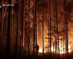 Nga trải qua mùa cháy rừng tồi tệ nhất trong lịch sử