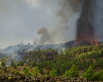 Núi lửa tiếp tục phun trào, sân bay La Palma mở cửa trở lại nhưng vẫn tạm dừng các chuyến bay