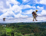 Gấp rút chuẩn bị giải tỏa công suất các dự án điện gió sắp vận hành thương mại