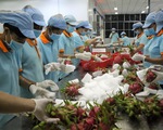 Hơn 1.600 mã nông sản, thực phẩm Việt Nam được xuất khẩu sang Trung Quốc