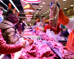 Trung Quốc xuất kho dự trữ quốc gia để ổn định giá thịt lợn