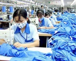 Thị trường lao động TP Hồ Chí Minh “ấm' trở lại