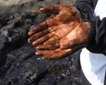 Peru ứng phó sự cố tràn dầu do tác động từ núi lửa Tonga