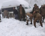 Bão tuyết khiến ít nhất 22 người mắc kẹt trong ô tô thiệt mạng tại Pakistan