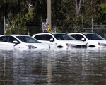Lũ lụt kỷ lục ở Australia có thể tồi tệ hơn với dự báo sẽ tiếp tục mưa lớn