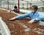 Xuất khẩu cà phê có thể cán mốc 4 tỷ USD