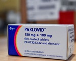 Tái nhiễm COVID-19 sau khi sử dụng thuốc Paxlovid có thể do phản ứng miễn dịch mạnh