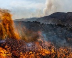 9 nước châu Âu có diện tích cháy rừng mới cao kỷ lục