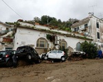 Italy tuyên bố tình trạng khẩn cấp ở Ischia sau trận lở đất kinh hoàng