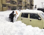 Tuyết rơi dày đặc ở Nhật Bản khiến ít nhất 13 người thiệt mạng, hơn 10.000 ngôi nhà mất điện