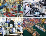 Kinh tế Việt Nam vững vàng vượt khó