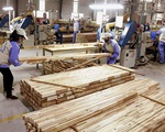 Ngành gỗ khó đạt mục tiêu xuất khẩu 16,5 tỷ USD