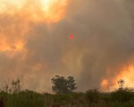 Cháy rừng tại Argentina thiêu rụi 500.000 ha trong bối cảnh hạn hán