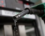 Thêm 5 doanh nghiệp đầu mối xăng dầu bị tước giấy phép