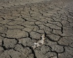 Hạn hán ở Bồ Đào Nha ngày càng tồi tệ hơn, gây ảnh hưởng cho cây trồng và nguồn nước