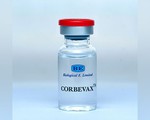 Ấn Độ phê chuẩn vaccine Corbevax cho trẻ em
