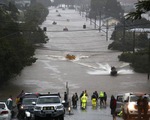 Lũ lụt tồi tệ nhất trong lịch sử Australia: 7 người tử vong, hàng chục nghìn người phải đi sơ tán