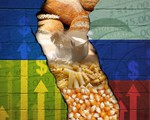 Căng thẳng Nga - Ukraine: Chiếc bánh mỳ tại Ai Cập đến nguy cơ khủng hoảng lương thực  toàn cầu