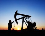 Giá dầu tiếp tục leo thang