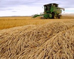 Ngành nông nghiệp châu Âu lao đao vì xung đột tại Ukraine