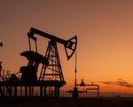 Giá dầu chạm mức cao nhất kể từ năm 2013