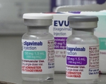 Evusheld - hy vọng mới cho người có bệnh nền chống COVID-19