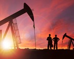 Giá dầu thế giới chạm ngưỡng kỷ lục trong gần 14 năm