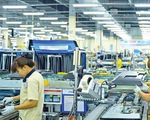 TP Hồ Chí Minh thu hút gần 550 triệu USD vào các khu chế xuất và công nghiệp